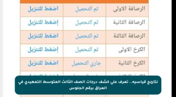 نتائج قياسية.. تعرف على كشف درجات الصف الثالث المتوسط التمهيدي في العراق برقم الجلوس